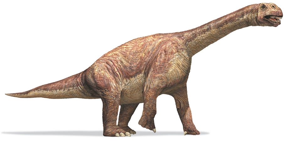 Camarasaurusan